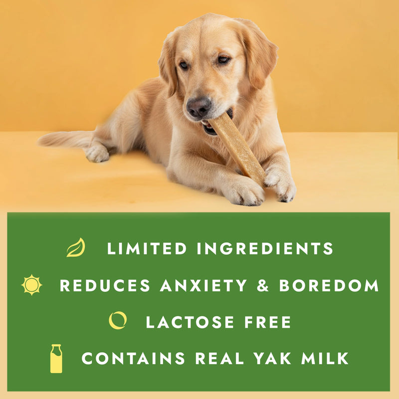 William Hunter Yak Cheese Himalayan Dog Chews - Long Lasting 100% Natural High Protein Dental Dog Chews for Aggressive Chewers (Large 1 Pack) Large 1 pack