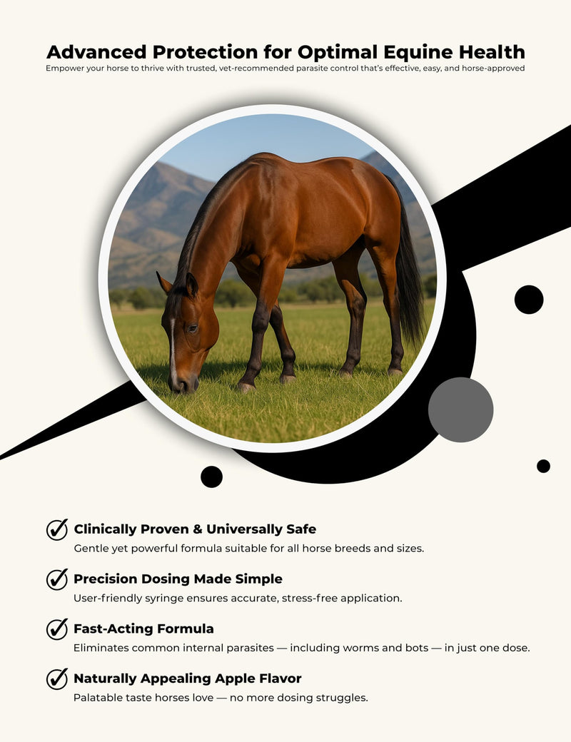 Horse Paste 1.87% – Apple Flavored Wormer – 6.08g Tube – Treats Up to 1250 lb 1 Count (Pack of 3)