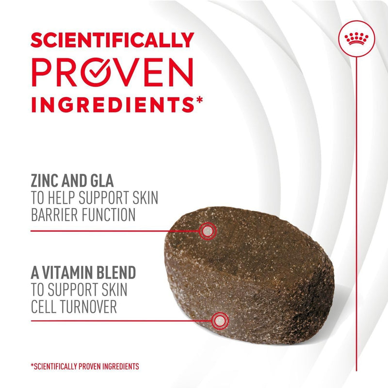 Royal Canin Dog Supplement for Skin & Coat Soft Chews 240g