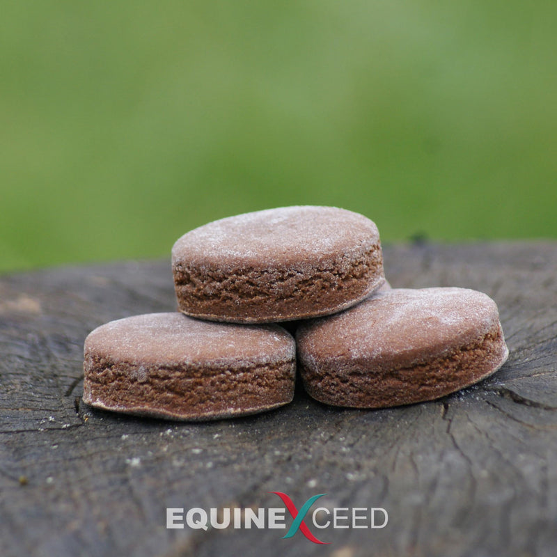 Equine Exceed Calmer Bites™ - Calming Treats for horses 10