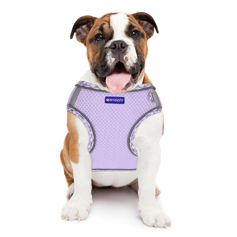 Step in Mesh Dog Harness and Leash Set Breathable Air Mesh Reflective Escape Proof Dog Harness Vest No Choke Lightweight Mesh Dog Harness XS(neck:9.5"-10.5",chest:11.5"-13.5") Purple - BeesActive Australia