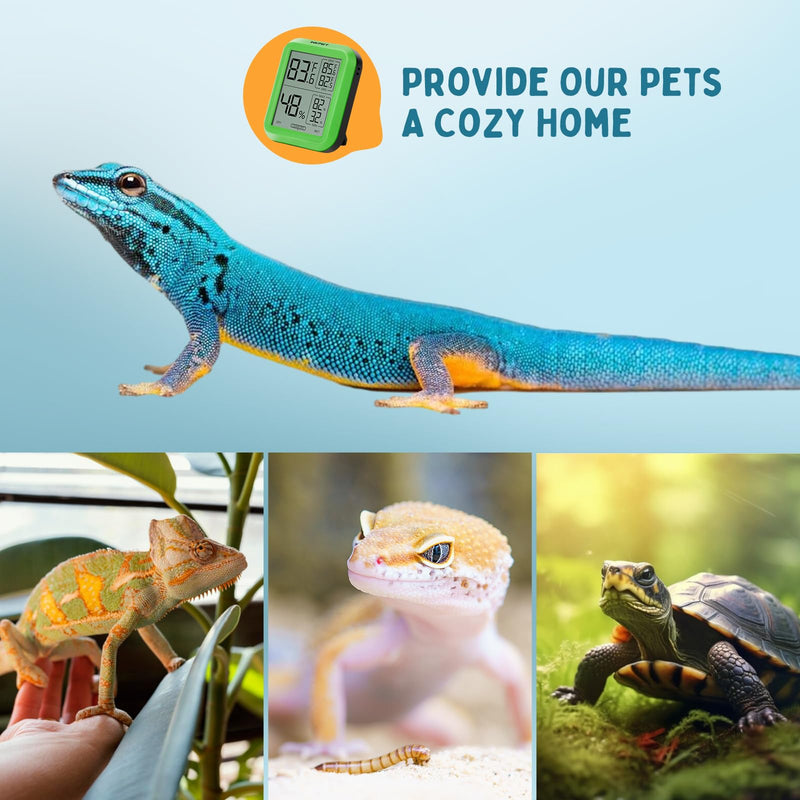 INKPET Reptile Thermometer Hygrometer Thermostat, with Max/min Record High-Accuracy Digial Display Ideal for Reptile Terrarium, Tank, Pet Rearing Box, Bearded Dragon, Leopard Gecko - BeesActive Australia