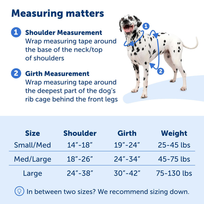 PetSafe Easy Walk Comfort No-Pull Dog Harness Full-Body Padding - Better Walks on The First Use - 5 Points of Adjustment Large, Black - BeesActive Australia