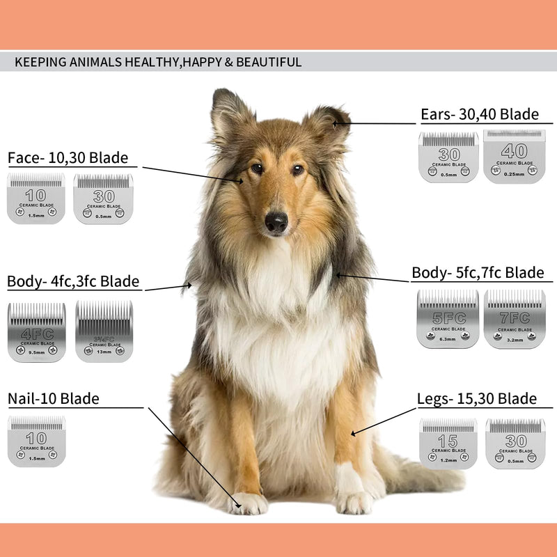 3 Pack 10# Detachable Pet Dog Grooming Ceramic Blades,Compatible with Andis,Oster A5,Wahl KM-10 Series,Size #10 Blade 1/16-Inch 1.5MM Cut Length 3pc 10:1/16''(1.5mm) - BeesActive Australia