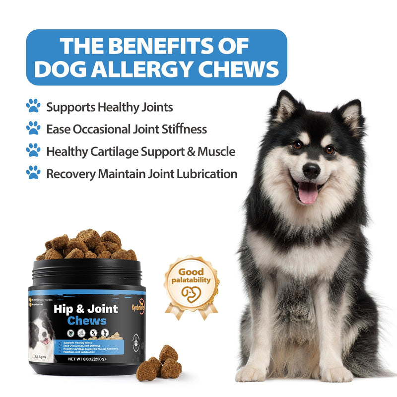 Dog Hip and Joint Soft Chews, Dogs Joint Health Supplement with Glucosamine, Turmeric and MSM, Joint Support for Dogs Natural Chicken Flavor -100ct