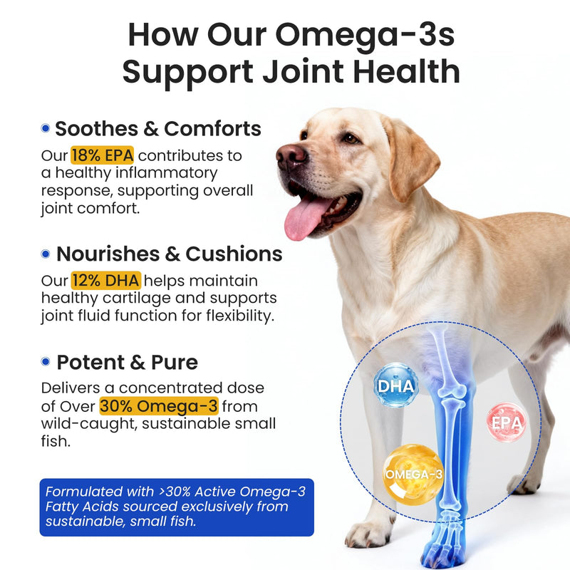 Omega 3 Fish Oil for Dogs & Cats：300mg EPA + DHA per 1ml - Promotes Healthy Skin, Shiny Coat, & Strong Joints & Heart - IFOS Certified – rTG High Absorption – Wild Caught – 8.45oz 8.45 oz