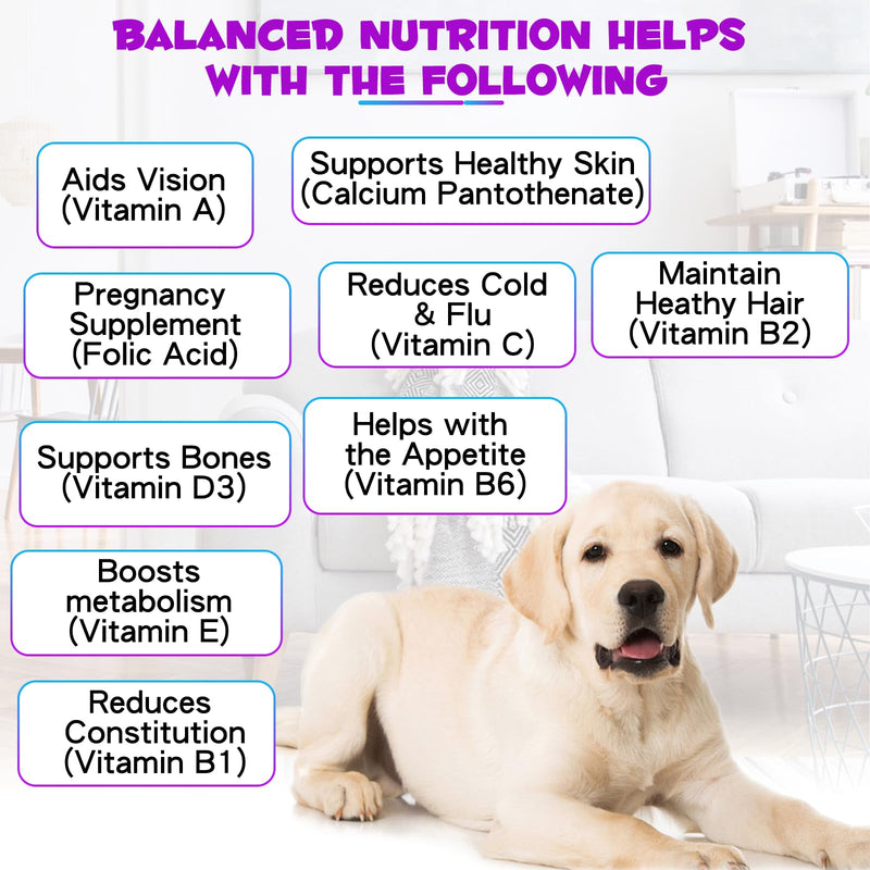 Dog vitamins and supplements, 15 in 1 Dog Multivitamin Drops, 60ml multivitamin for dogs, Helps with Immune System, Skin and Coat, Gut Health and Heart Health Digestion