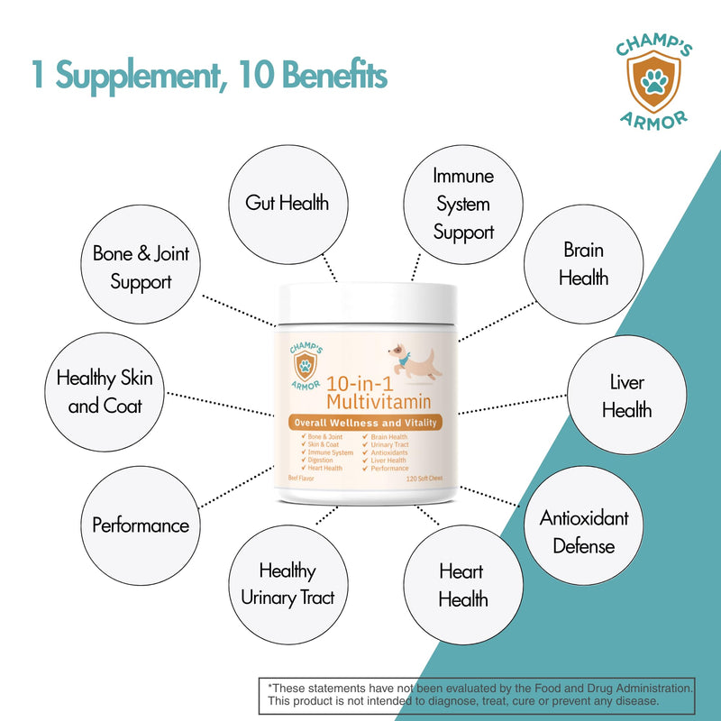 Dog Multivitamin Bundle - Champ's Armor Allergy & Immune Chews + 10-in-1 Supplement | Hip Joint, Skin Coat, Digestive Health Support for Dogs
