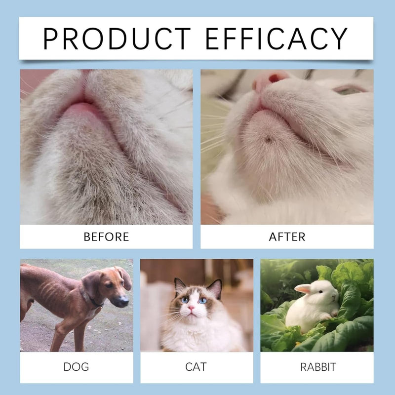 Cat Chin Care Kit,Cat Chin Cleaner With Silicone C-At Brush,C-At Skin Treatments,Ca-T Filth Treatment&Blemishes Remover,No-Rinse Formula,Soothes Ch-In Skin&Oil Control(With Cleansing Massage Brush)