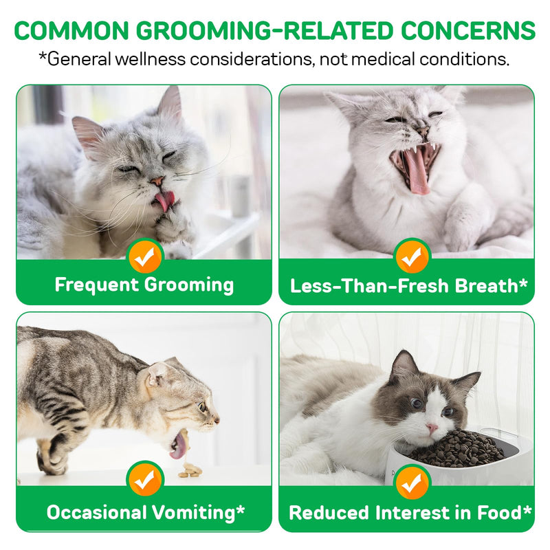 60g Cat Grass Teething Stick for Cat, Freezed Dried Cat Grass Treats Snacks for Cats, Edible Cat Chew Toys for Teeth Cleaning