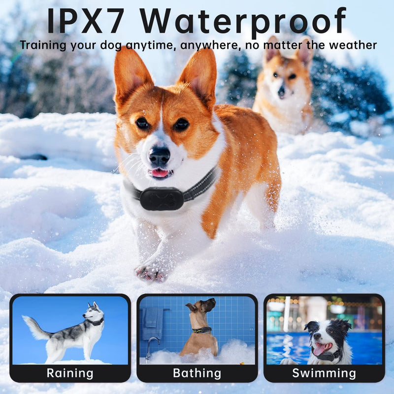 Rechargeable Dog Training Collar with Remote - Waterproof, for 15-150 lb Dogs, with Flashlight, Beep, Vibration, Shock Modes Black - BeesActive Australia