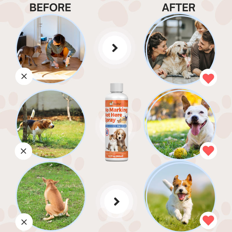 8oz Dogs no Wrong Pee in House & Outdoor