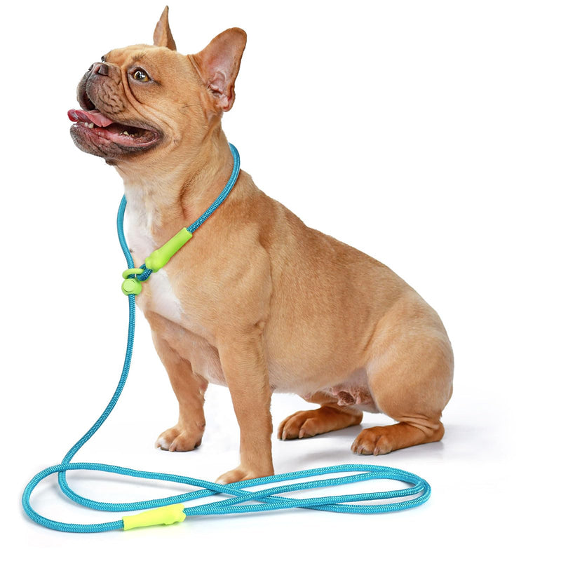 DaFuEn 6 FT Dog Slip Lead Dog Leash Dog Classic Training Leash Lightweight Durable Slip Leads for Dogs No-Pull Slip Leash and Collar Dog Leash for Small Medium Puppies Blue 1.8m - BeesActive Australia