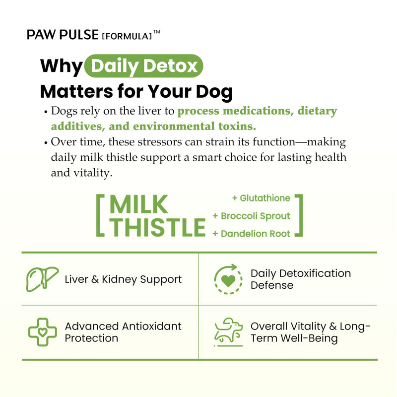 Pawpulse Formula Liver Support for Dogs – Milk Thistle & Silymarin Powder – Daily Detox, Kidney Wellness & Antioxidant Defense, 2.12 oz