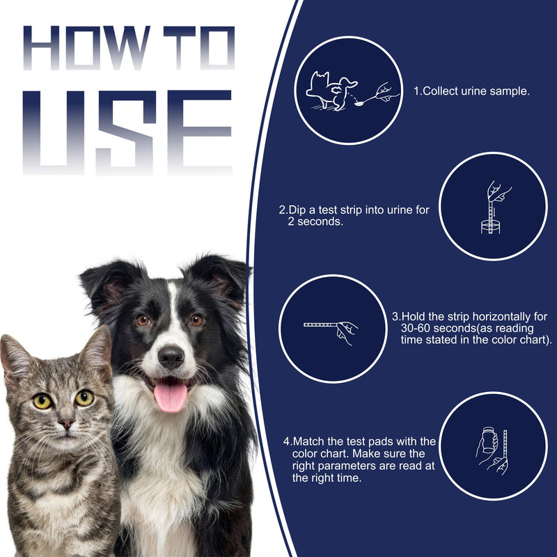 10-in-1 Cat & Dog Urine Test Strips, Cat & Dog UTI Test Kit, Pet Urinalysis Reagent Strips Diabetes, Glucose, Nitrite, Specific Gravity, pH, Protein, Leukocytes & More (60 Strips) - BeesActive Australia
