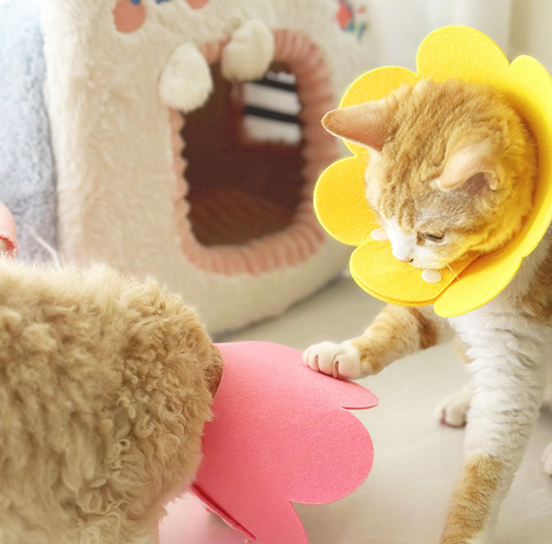 Amexo 3 pieces cat protective collar, soft neck collar, cat collar, anti-bite neck collar, cat protective collar for cats, puppies, M - BeesActive Australia