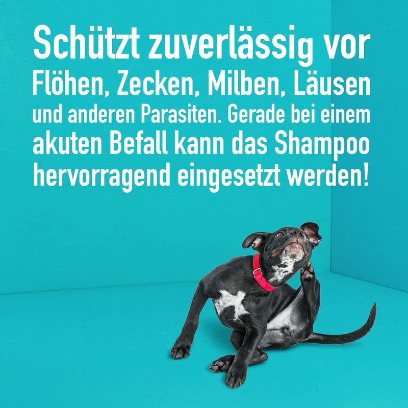 Green Hero flea and tick shampoo for dogs and cats protects against fleas, ticks, mites, lice and parasites 250ml dog shampoo and cat shampoo without silicones, parabens and microplastics - BeesActive Australia
