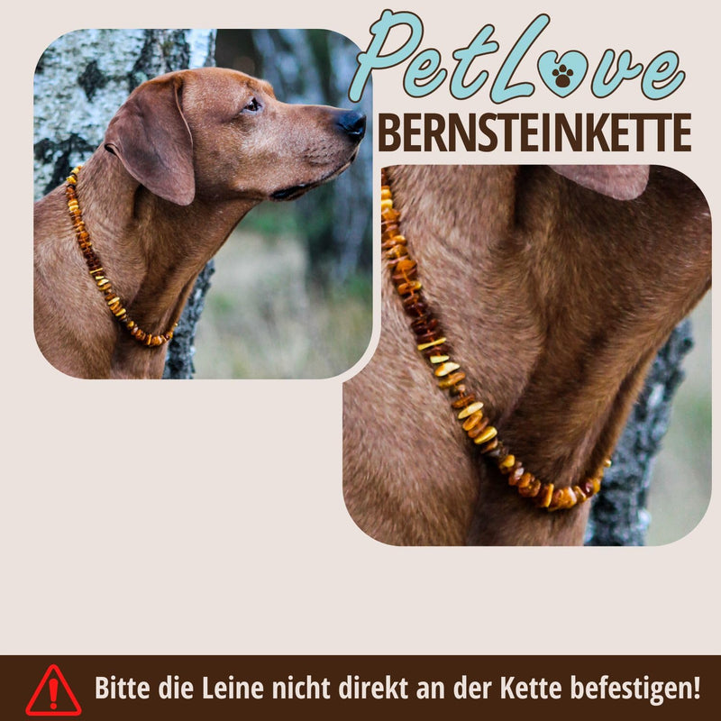 PetLove Amber Necklace Extension for Dogs • 100% Baltic Amber • Collar for Dogs & Cats • Length: 3cm - BeesActive Australia