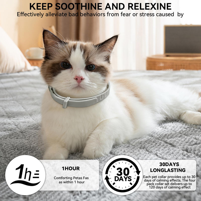 Calming Collar for Cats that Reduces Scratching & Anxiety | Pheromone Cat Calming Collar for Stress, Hiding & Marking | Waterproof Adjustable for Kitten Adult Senior Cats