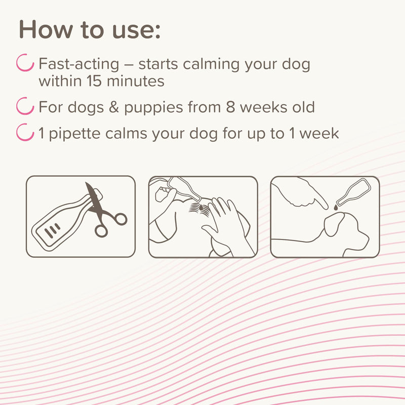 Beaphar - CaniComfort® Calming Spot-On For Dogs- Reduces Anxiety & Stress – Pheromone Calming - Fast-Acting - Starts Working in 15 Minutes - Ideal for Short-Term Events like Fireworks - 3 Pipettes
