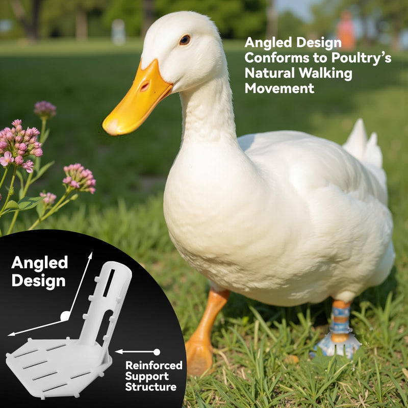 4 Sizes Poultry Leg-Splint Set, Broken Leg Support for Chicken, Duck, Goose - BeesActive Australia