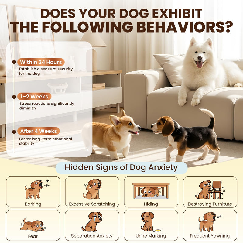 Dog Pheromones Calming Diffuser to Calm Dogs 9 IN 1 Kit (3 Diffusers+6 Refills) Pheromone Plug In for Stress Barking Pee Accidents Chewing Aggression Separation Anxiety Relief 180 Days(Odorless) Odorless