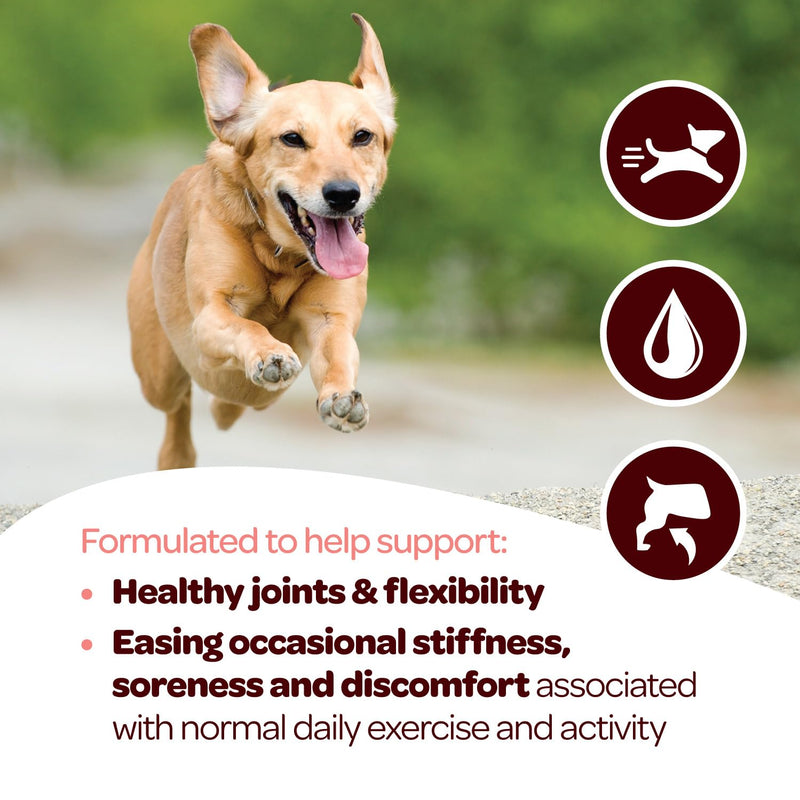 Hip and Joint Chews for Dogs | Dog Glucosamine Chews for Comfort & Mobility with Chondroitin MSM & Turmeric | Dog Joint Supplement for All Ages & Sizes | NASC Certified & Made in The USA | 60 Chews Hip and Joint 60 Count