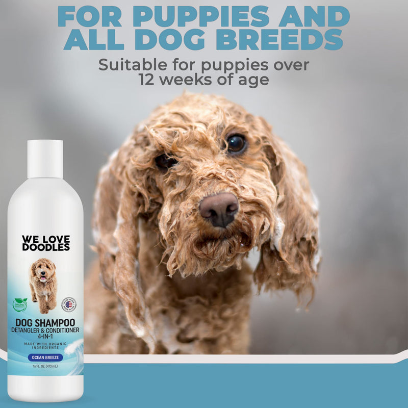 USDA Organic Dog Shampoo, Conditioner & Detangler - Best Shampoo for Goldendoodles, Poodles & Doodles - for Matted Pet Hair - Sensitive Skin Shampoo for Puppies - Made in The USA, 16OZ (Ocean Breeze) Ocean Breeze - BeesActive Australia