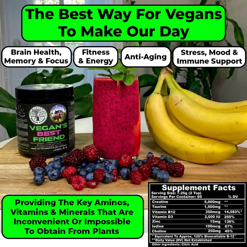 Vegan's Best Friend - Plant Based Multivitamin For Men & Women - Brain, Memory, Energy, Immune, Mood & Stress Support - Replaces 7 Supplements - Creatine, B12, D3, Choline, Zinc, Taurine - 60 Servings 1.11 Pound (Pack of 1)