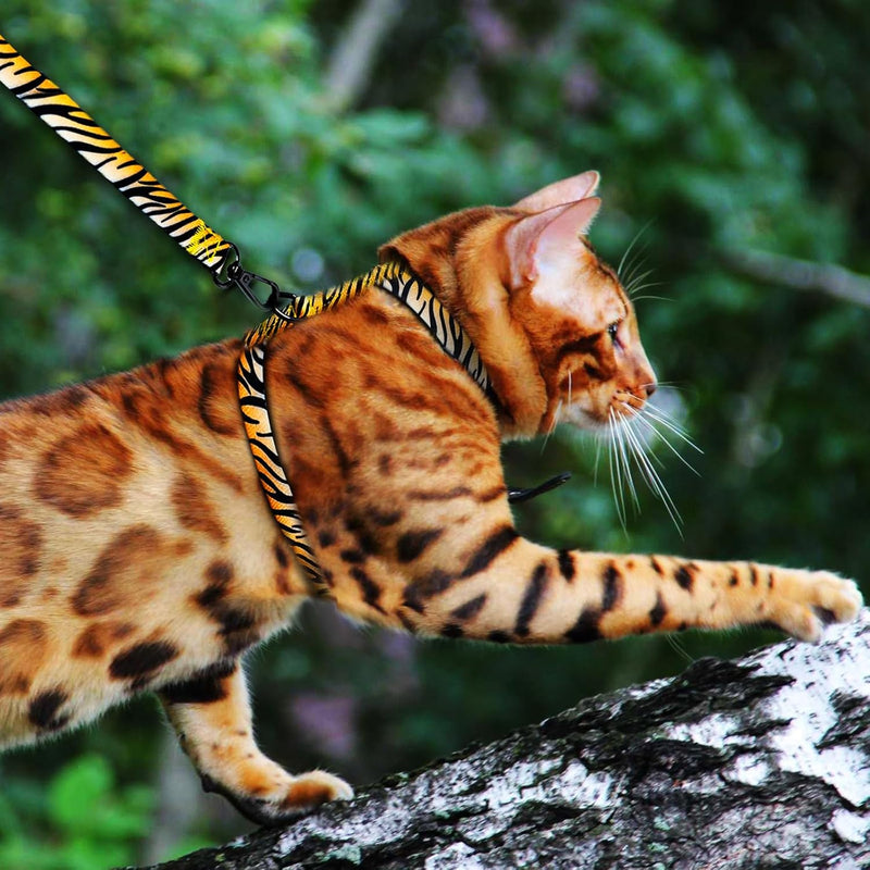 Cat Harness and Leash Escape Proof, Adjustable Soft Kitten Leash for Outdoor Walking & Travel with Breathable Nylon, 4.9ft Cat Leash for Adult - Lightweight & Safe Large Cat Harness [M] Neck Girth: 12.2"-15.7", Chest Girth: 15.7"-20.47" - BeesActive Australia