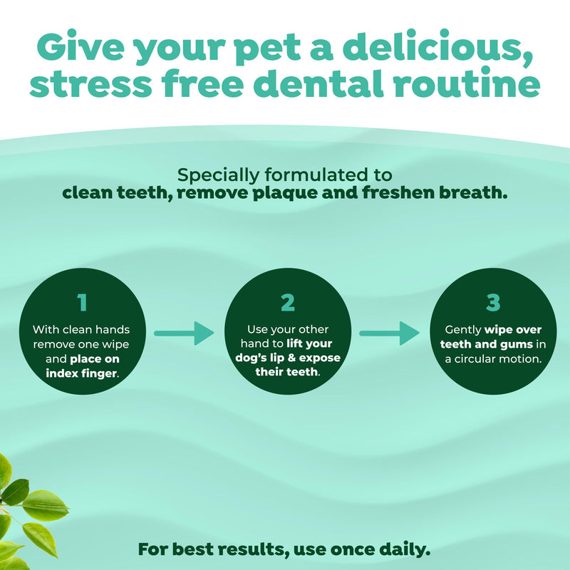 TropiClean Fresh Breath Dog Teeth Cleaning Dental Wipes, Finger Wipes for Plaque & Tartar Removal + Baking Soda, Easy to Use Dog Dental Care, 50ct