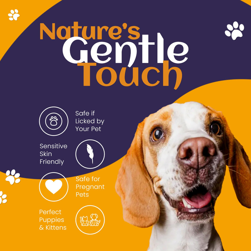 DR.LAVENDER Natural Hot Spot Treatment for Dogs & Cats - Anti Itch Spray for Skin Allergy Relief, Dryness, Redness Soothing & Wound Care - Organic Plant-Based Pet Skin Soother with Essential Oils