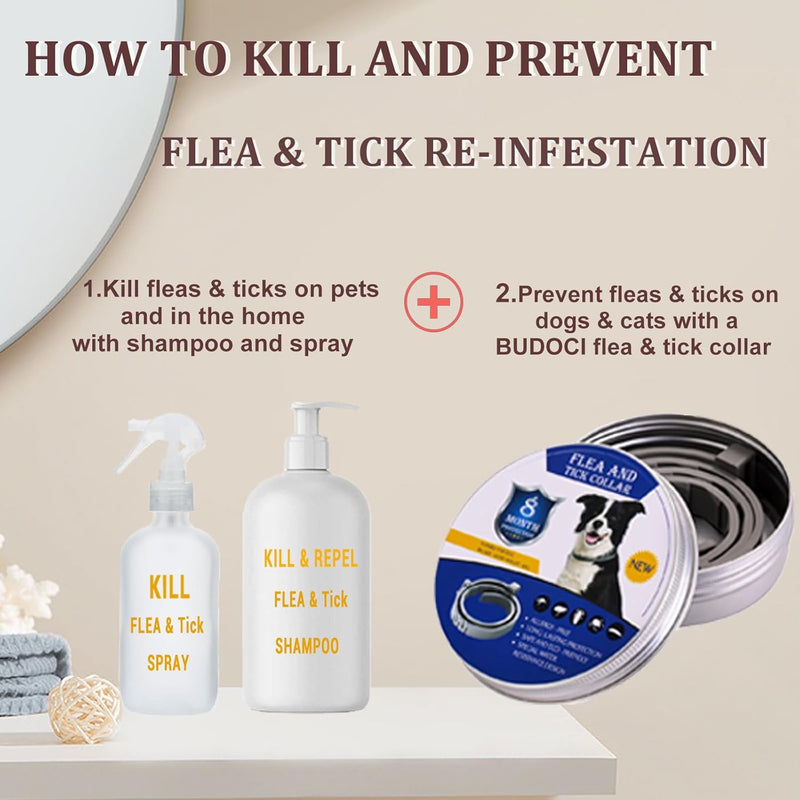 Flea Collar for Dogs 2 Pack Natural Flea and Tick Collar for Dogs 8 Month Prevention Puppys Collars 24 Inch Adjustable Large Collars - BeesActive Australia