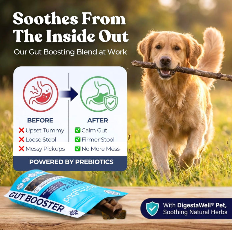 healthybud Turkey Dog Probiotic Chews - Gut Health Support - Prebiotic, Fiber & Vitamin, Puppy Liver Bites for Sensitive Stomach, Dog Stool Hardener (4.6oz per Pack 2-Pack) 4.6oz 2-Pack
