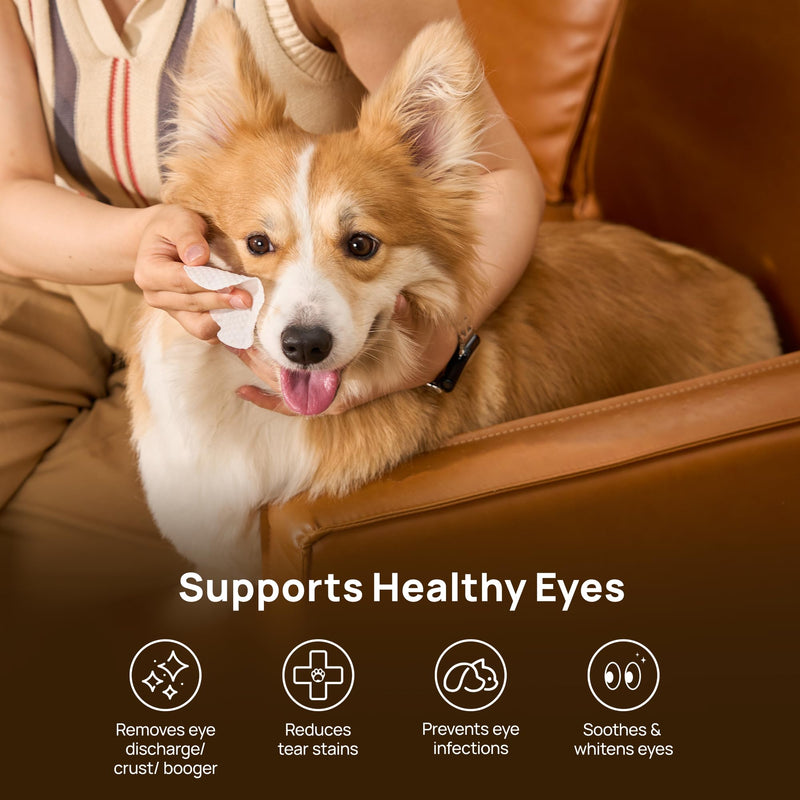 HICC PET Eyes Wipes for Dogs & Cats - Daily Cleaner for Removing Eye Debris, Discharge & Mucus Secretions, Coconut Oil Pet Cleaning Wipes, Suitable for Eyes, Face, and Wrinkles (100 count) 100 count (Pack of 1)