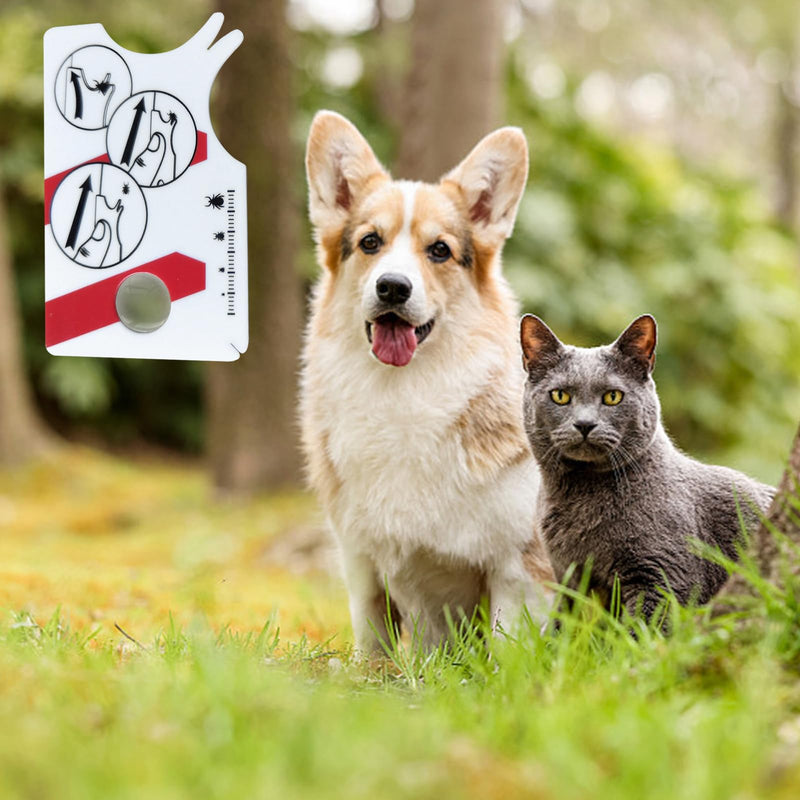 Pack of 2 tick cards with magnifying glass, tick scale card with magnifying glass, quick cleaning of ticks, tick card for people, children, dogs, cats, quickly and gently remove ticks from pets or people - BeesActive Australia