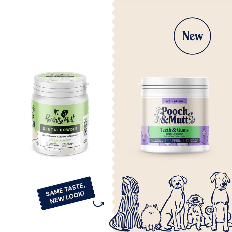 Pooch & Mutt - Dog Dental Powder, Tartar & Plaque Remover (Teeth Cleaning Product For Dogs Dental Care), 100g (external product packaging design may vary)