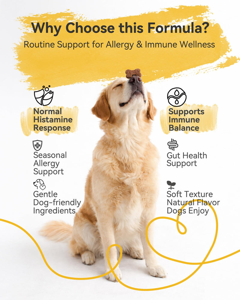 Dog Allergy Relief Chews with Quercetin, Colostrum & Probiotics, 120ct | Daily Allergy & Immune Support for Dogs, Supports Normal Histamine Response, Skin & Coat Comfort, Gut Health