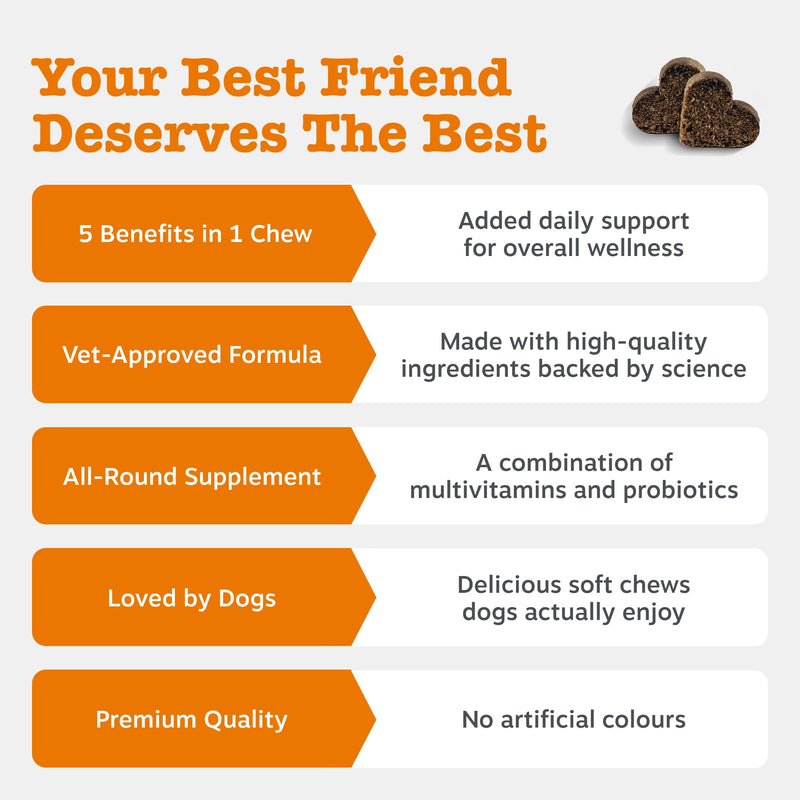 Zesty Paws 5in1 Multivitamins for Dogs | Supports Skin & Gut Health, Brain Function, Immune System, Physical Performance | With Vitamin A, B & C, Folic Acid, Biotin, L-Carnitine | Daily Use | 90 Chews Adult