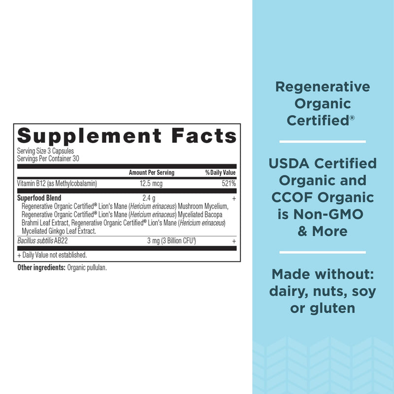 Ancient Nutrition Regenerative Organic Certified Focused Brain Capsules, Made with Ginkgo Leaf, Lion's Mane to Help Reduce Stress, Gluten Free, Paleo and Keto Friendly, 90 Count - BeesActive Australia