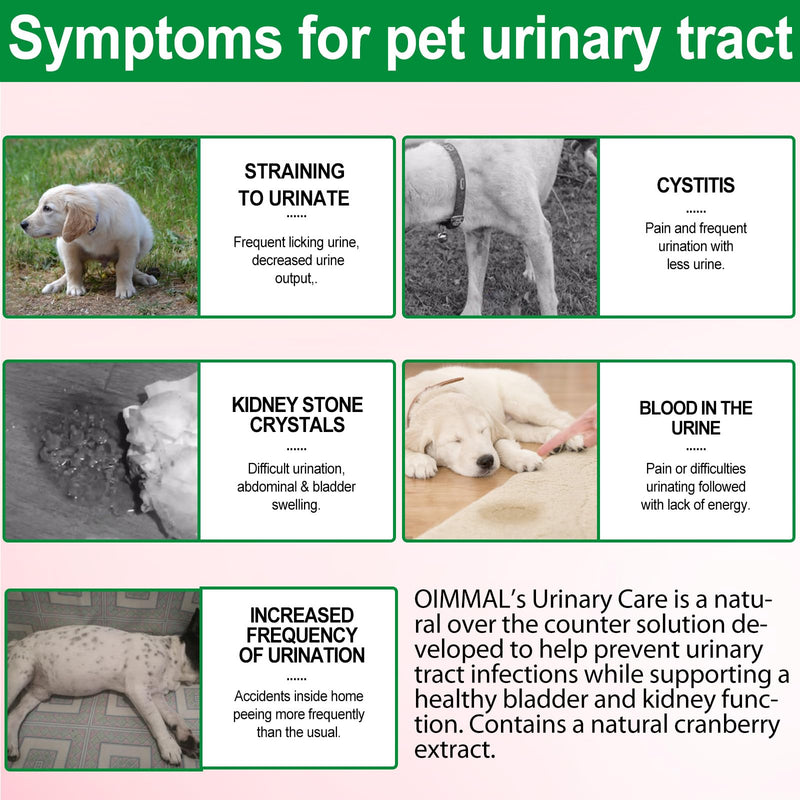 Urinary Tract Infection Treatment for Dogs, Dog Urinary Tract Support Drops, Natural UTI Treatment Supplement, Support Healthy Bladder & Kidney with Cranberries Bacon for Dogs