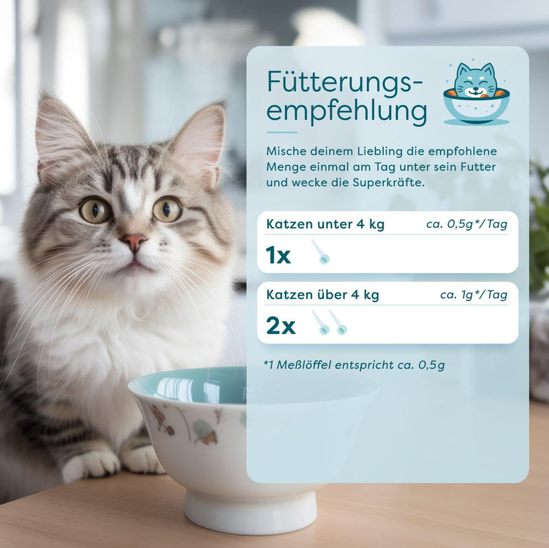 Dr.SAM WonderCat - health powder for cats - high-dose nutritional supplement for joints, intestines, stress, teeth, skin and fur, 100% herbal all-round care, made in Germany, 45g cat - BeesActive Australia
