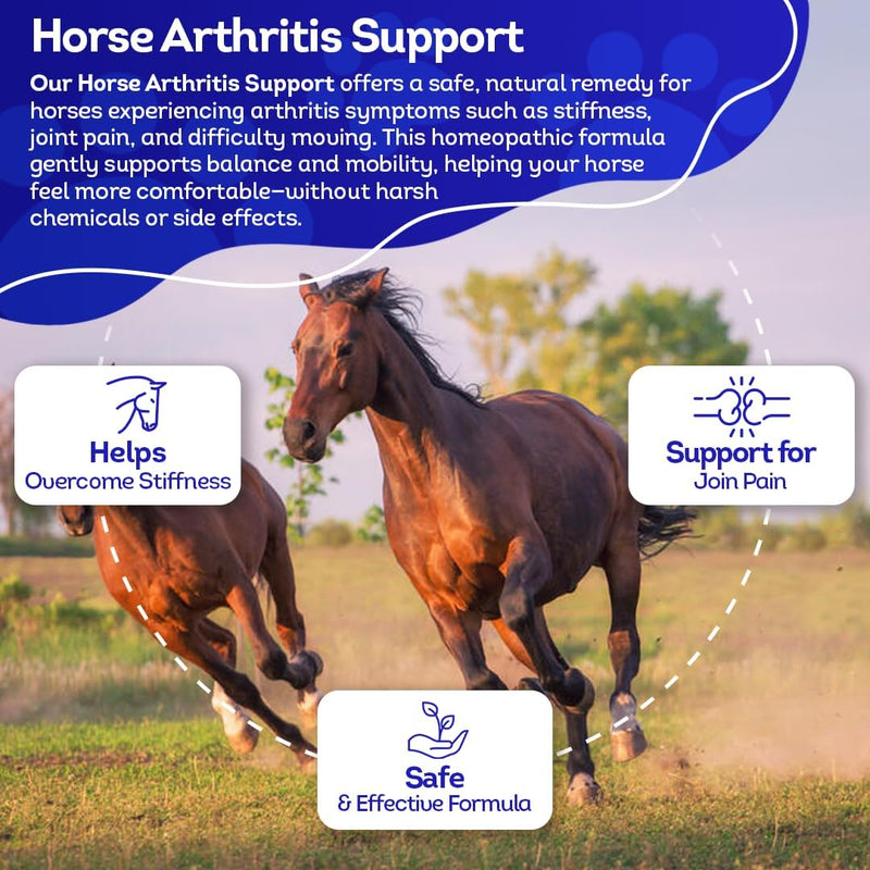All-Natural Horse Arthritis Support - Helps Prevent Stiffness, Joint Pain & Lameness - Joint Supplements for Horses - Homeopathic & Highly Effective - 300 Tablets - BeesActive Australia