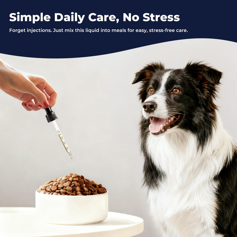 Zinc Drops for Dogs – Daily Mineral Support for Immune Balance & Skin Health, Liquid Zinc Supplement, Easy to Mix, Bacon Flavor, 2 fl oz (60 mL)