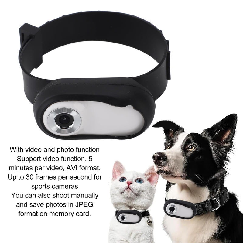 Annadue pet collar camera with phone app, adjustable pet sports camera with 170° wide angle, rechargeable via USB, HD 1080P body camera for cats and dogs - BeesActive Australia