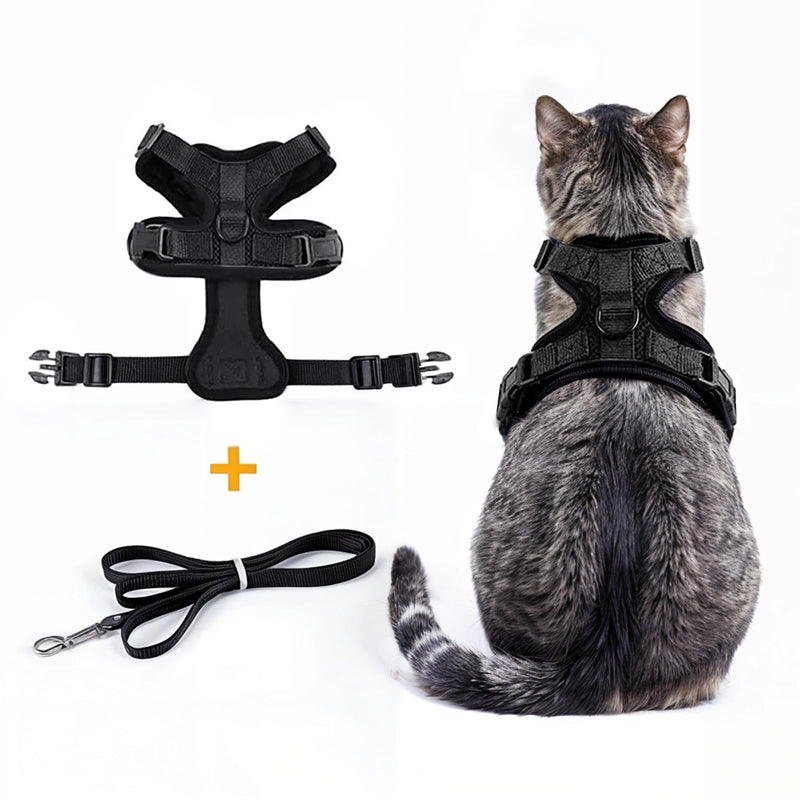 Comfortable cat harness with leash - Breathable air mesh, Suitable for neck circumference 21-28 cm, chest circumference 34-41 cm - Easy to put on and take off - Perfect for walks with your cat XS Black - BeesActive Australia