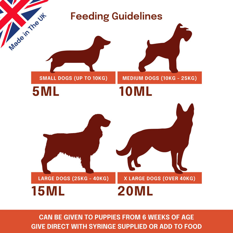 Buddy & Lola Fast-Acting Dog Diarrhea Treatment with Electrolytes - 20 Servings/100ml - Tummy Settler For Dogs All Breeds, Sizes and Ages - Syringe Included 100 ml (Pack of 1)