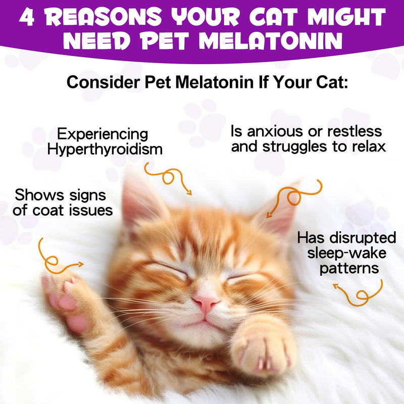 asusxcli Melatonin for Cats - Cat Calming Treats- Cat Sedative for Grooming - Helps to Support Restful Sleep for Your Cat - Cat Sleep Aid - Anxiety Relief for Cats