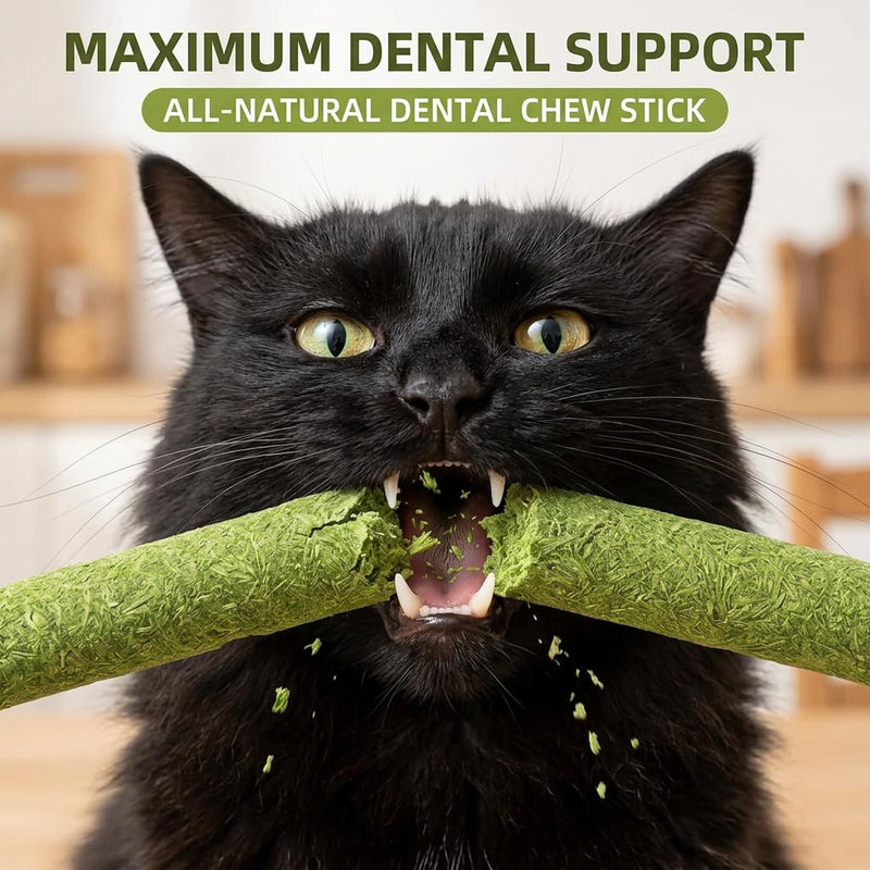 Happy Tracks Cat Grass Sticks for Cats — Freeze-Dried Chicken & Barley Grass | High Protein Grain-Free Cat Snack | Hairball Control & Dental Support | 3.53oz / 20 Sticks