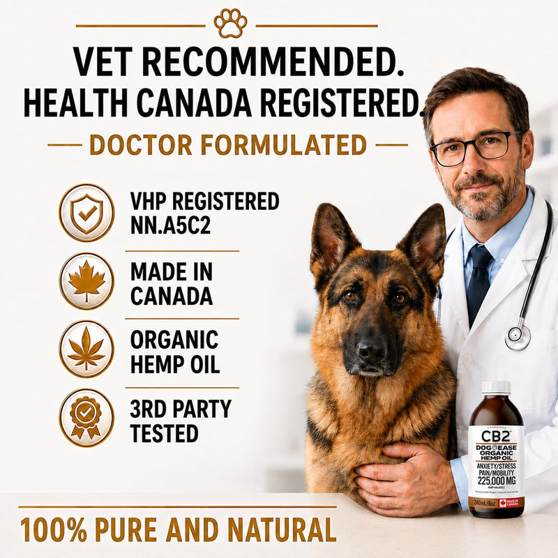 CB2 HEMP SEED OIL FOR DOGS. Extra Strength For Pain & Anxiety. Advanced Hip & Joint Supplement. Calming & Relaxing Effect. Improves Mobility. All-Natural. 240mL/8oz EXTRA LARGE Bottle.